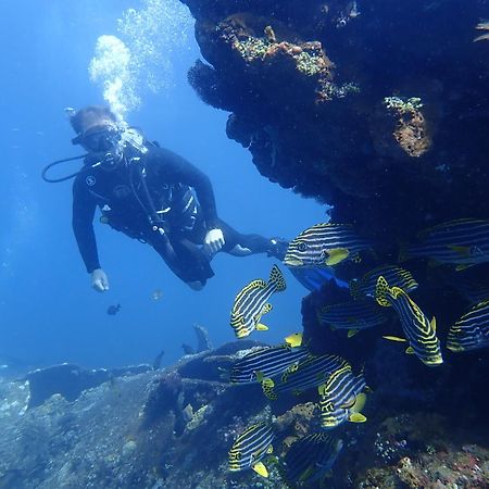 Palm Springs Bali Dive Resort Tulamben  Ngoại thất bức ảnh