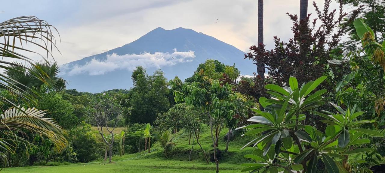 Palm Springs Bali Dive Resort Tulamben  Ngoại thất bức ảnh