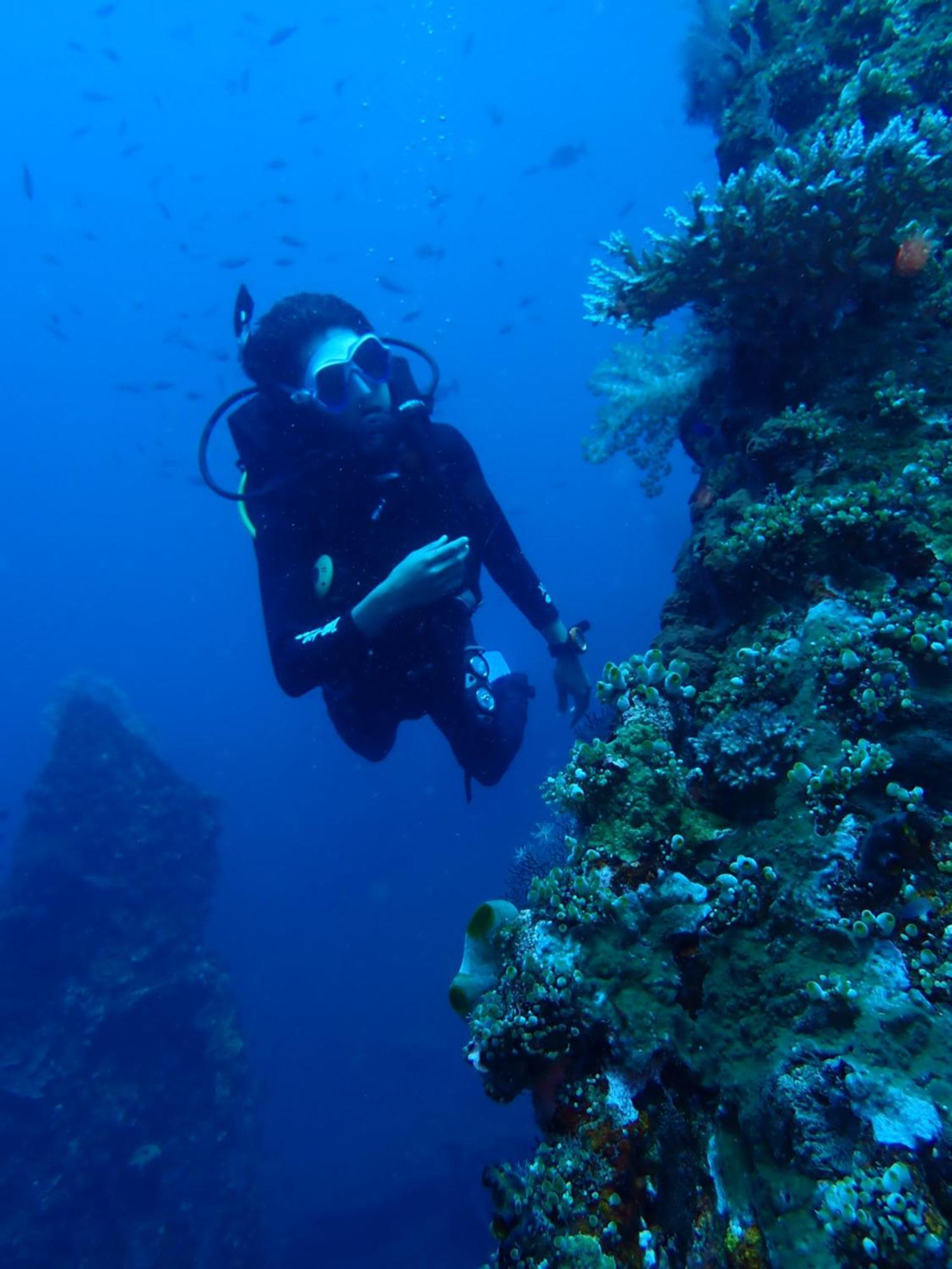 Palm Springs Bali Dive Resort Tulamben  Ngoại thất bức ảnh